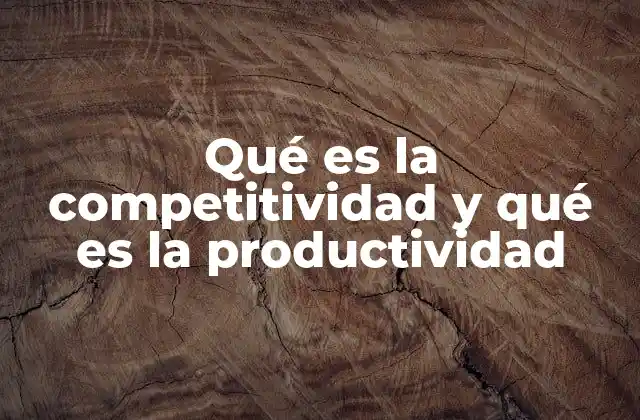 Qué es la Competitividad y Qué es la Productividad
