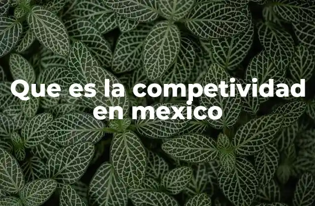 Que es la Competividad en Mexico
