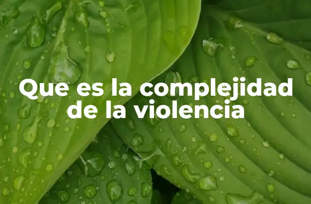 Que es la Complejidad de la Violencia