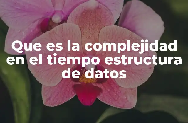 Que es la Complejidad en el Tiempo Estructura de Datos