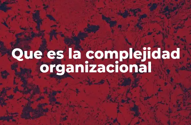 Que es la Complejidad Organizacional