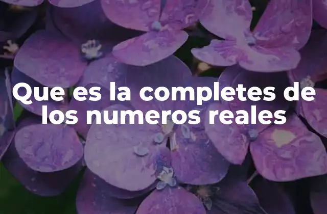 Que es la Completes de los Numeros Reales