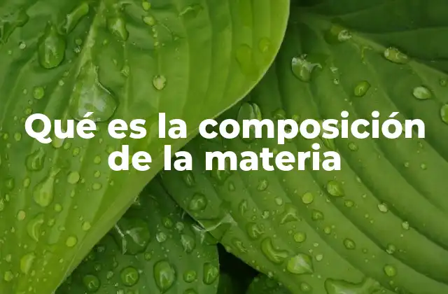 Qué es la Composición de la Materia
