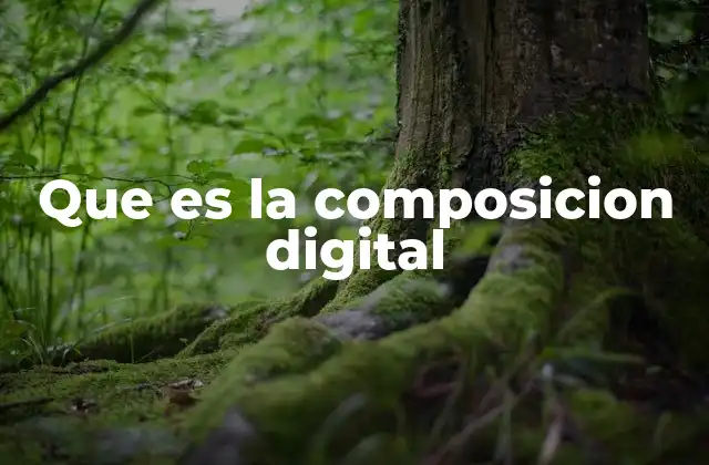 Que es la Composicion Digital