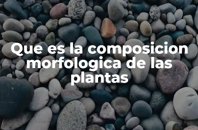Que es la Composicion Morfologica de las Plantas