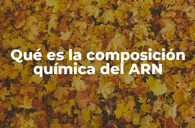 Qué es la Composición Química Del Arn