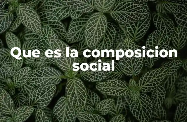 Cómo se analiza la estructura de una sociedad sin mencionar directamente la composición social