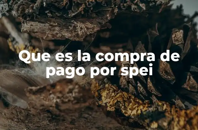 Que es la Compra de Pago por Spei