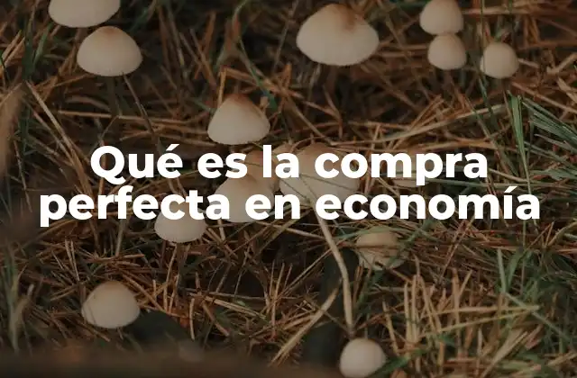 Qué es la Compra Perfecta en Economía