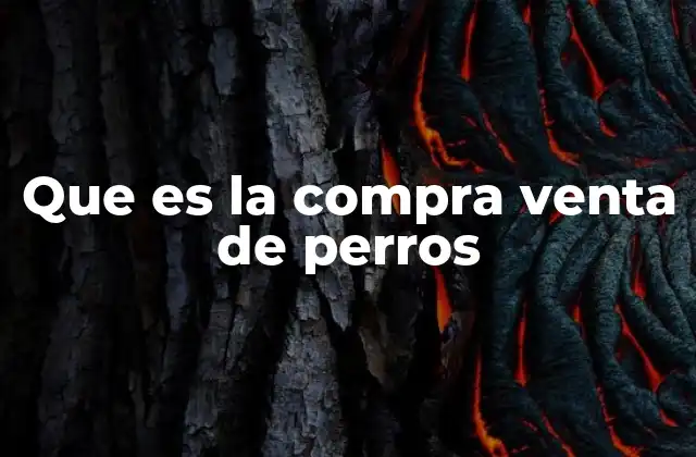 El proceso detrás del canino que llega a tu hogar