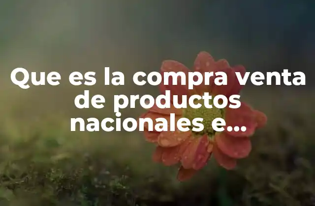 Que es la Compra Venta de Productos Nacionales e Internacionales