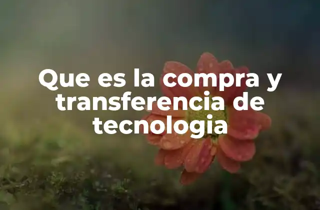 Que es la Compra y Transferencia de Tecnologia