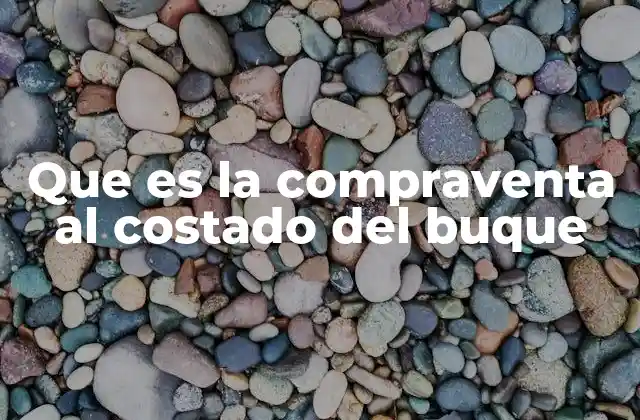 Que es la Compraventa Al Costado Del Buque 2 La importancia de las operaciones marítimas sin atracar