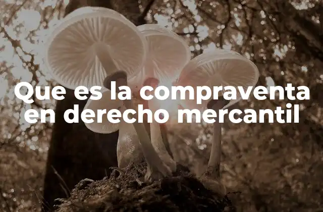Que es la Compraventa en Derecho Mercantil 2 Características de la compraventa mercantil