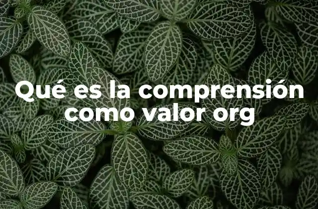 La importancia de la empatía en la cultura organizacional