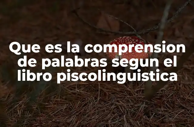 Que es la Comprension de Palabras Segun el Libro Piscolinguistica
