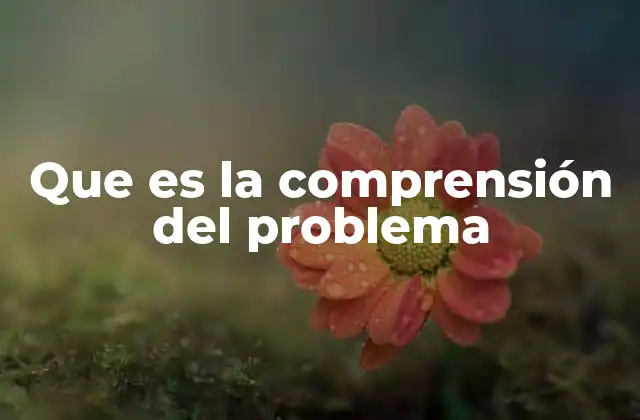 Que es la Comprensión Del Problema