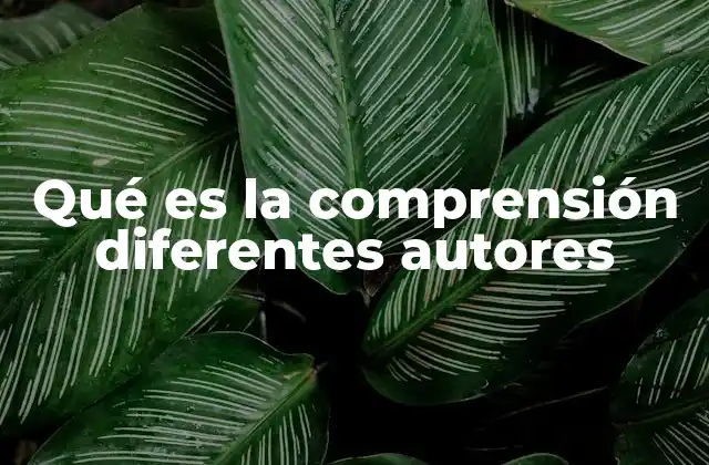Qué es la Comprensión Diferentes Autores