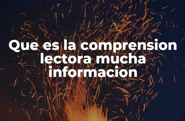 Que es la Comprension Lectora Mucha Informacion