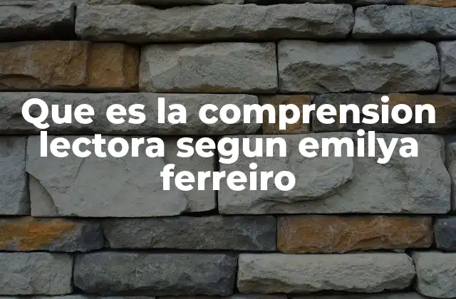 Que es la Comprension Lectora Segun Emilya Ferreiro