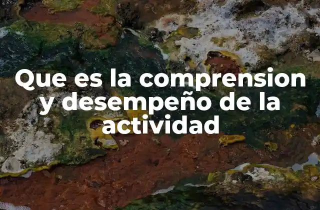 Que es la Comprension y Desempeño de la Actividad