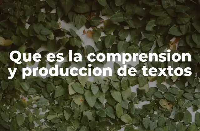 Que es la Comprension y Produccion de Textos
