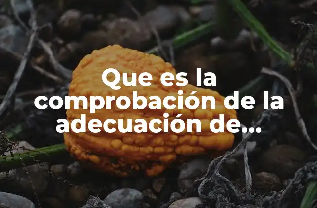 Que es la Comprobación de la Adecuación de Modelos