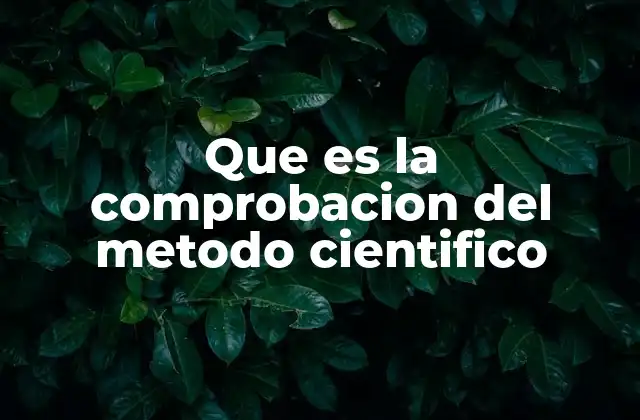 Que es la Comprobacion Del Metodo Cientifico