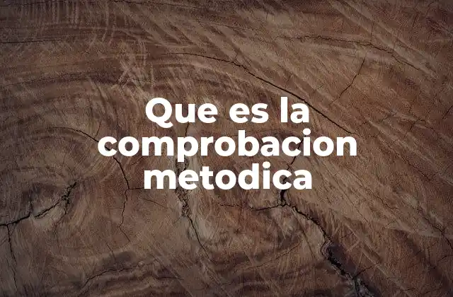 Que es la Comprobacion Metodica