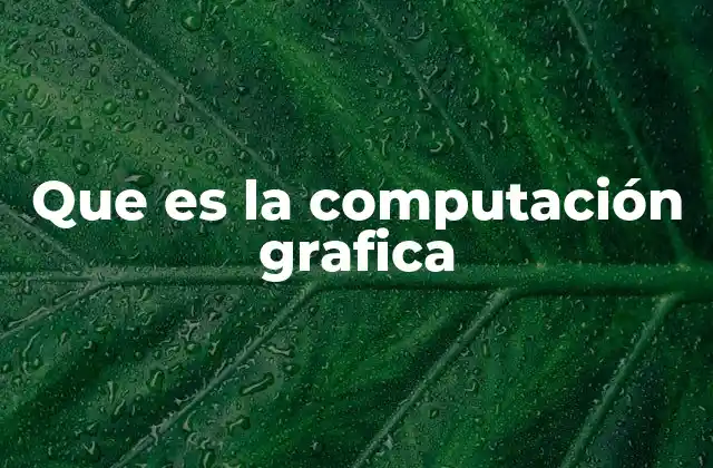 Que es la Computación Grafica
