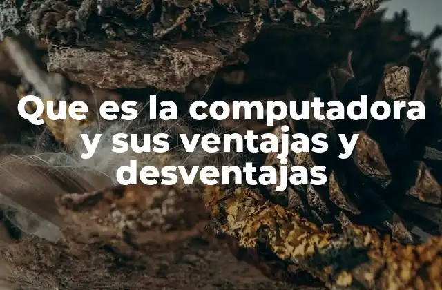 Que es la Computadora y Sus Ventajas y Desventajas
