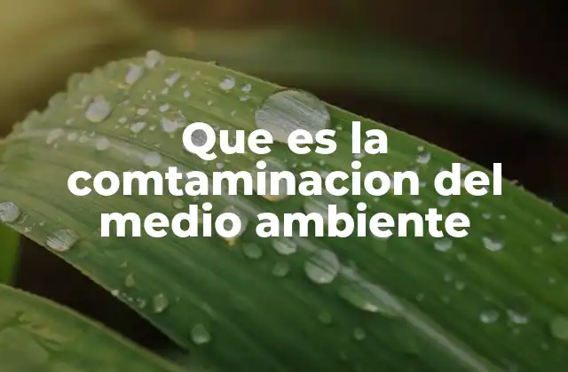 Que es la Comtaminacion Del Medio Ambiente