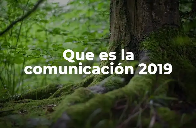 Que es la Comunicación 2019