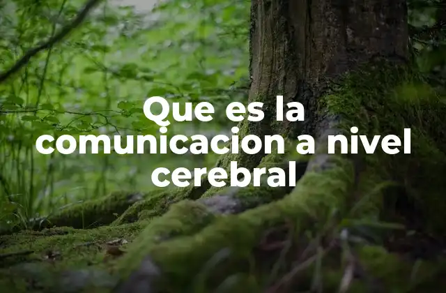 Que es la Comunicacion a Nivel Cerebral