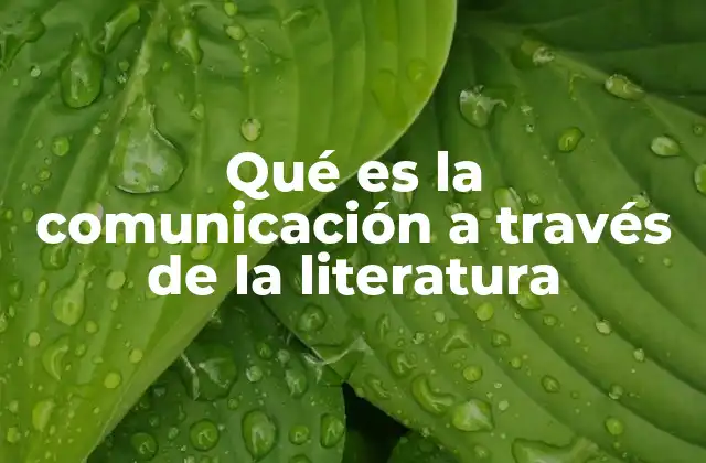 Qué es la Comunicación a Través de la Literatura 2 El papel de la literatura como medio de expresión