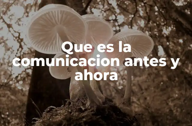 Que es la Comunicacion Antes y Ahora
