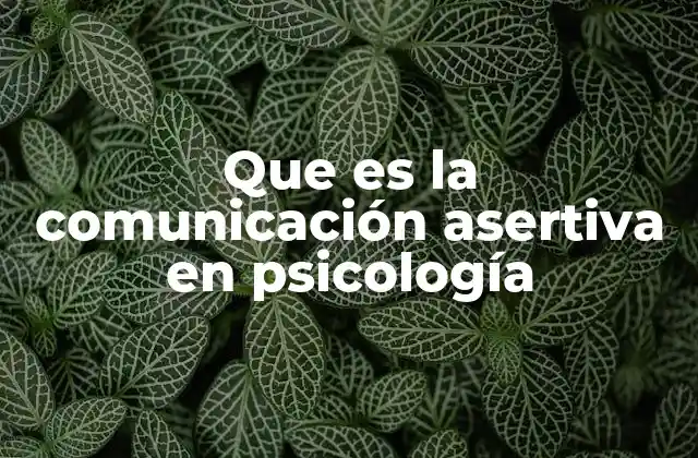 Que es la Comunicación Asertiva en Psicología 2 La importancia de expresar lo que se siente sin lastimar