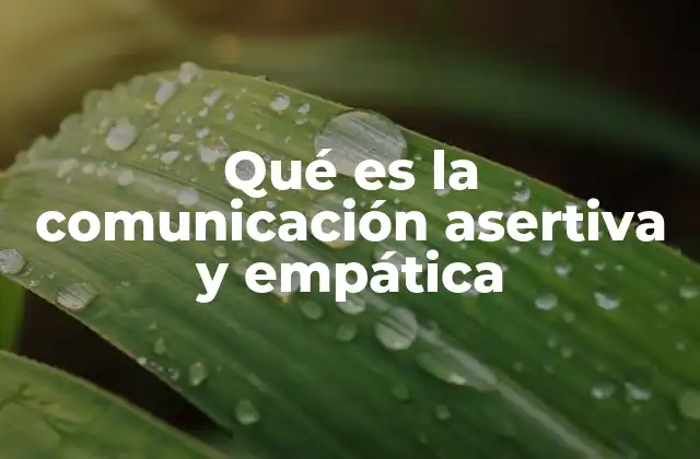 Qué es la Comunicación Asertiva y Empática