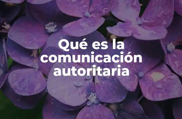 Qué es la Comunicación Autoritaria