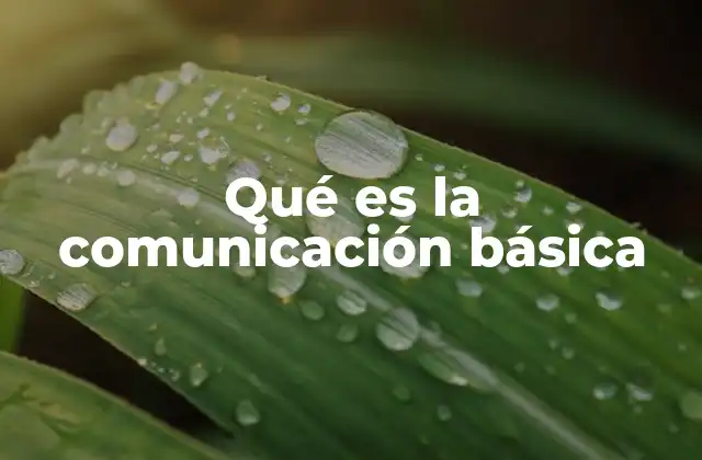 La esencia de la interacción humana