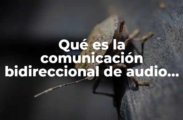 Qué es la Comunicación Bidireccional de Audio y Video 2 La importancia de la interacción en tiempo real