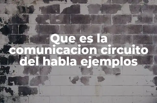 Que es la Comunicacion Circuito Del Habla Ejemplos 2 El proceso de comunicación oral y su importancia