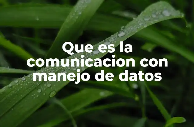 Que es la Comunicacion con Manejo de Datos