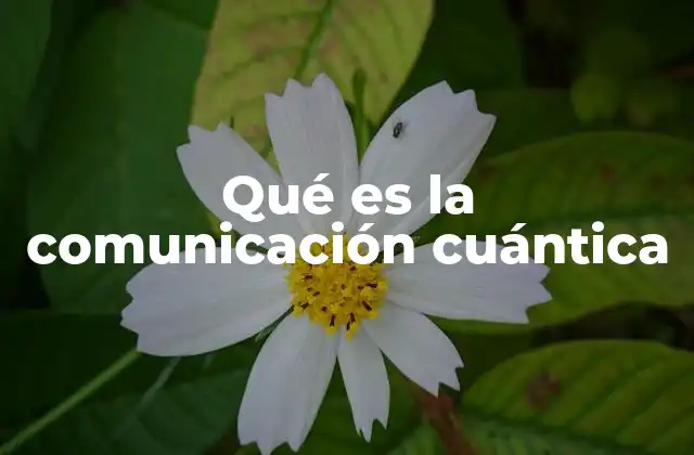 Qué es la Comunicación Cuántica