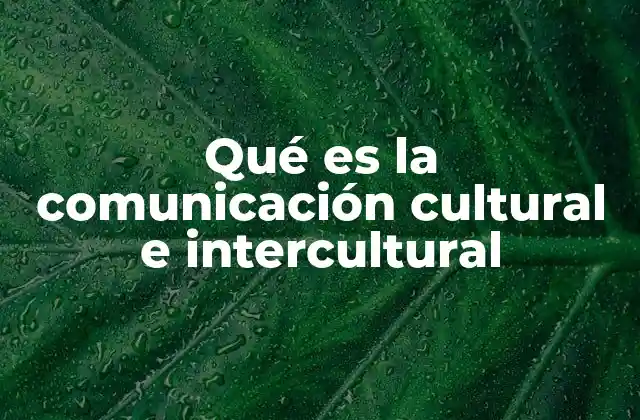 Qué es la Comunicación Cultural e Intercultural