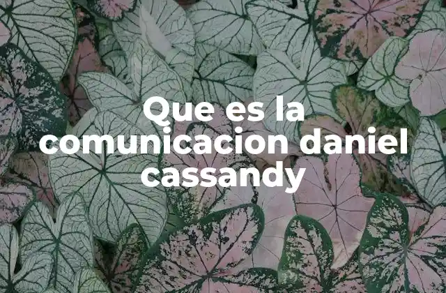 Que es la Comunicacion Daniel Cassandy