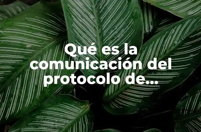 Qué es la Comunicación Del Protocolo de Investigación