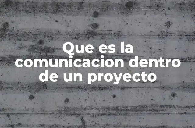 Que es la Comunicacion Dentro de un Proyecto