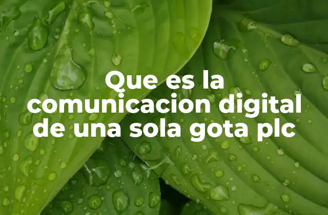 Que es la Comunicacion Digital de una Sola Gota Plc