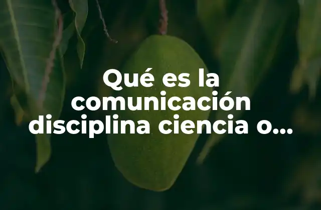 Qué es la Comunicación Disciplina Ciencia o Campo